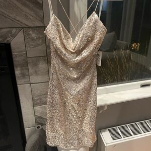 Windsor Glittering Silver Mini Dress